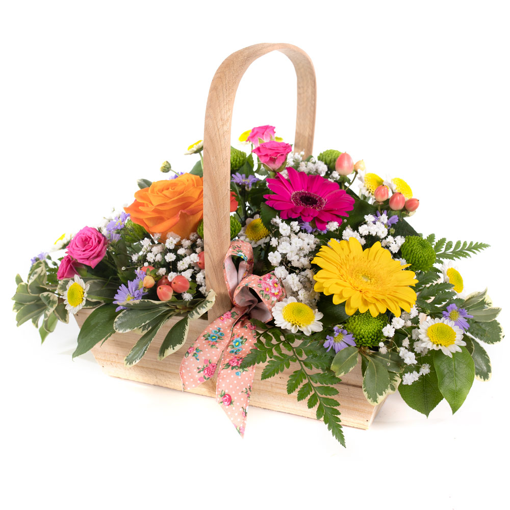 Sherbet Twist Floral Basket Arrangement